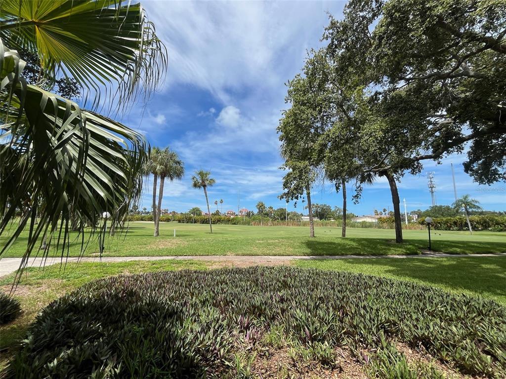 Primary Photo - 6219 Palma Del Mar Blvd S