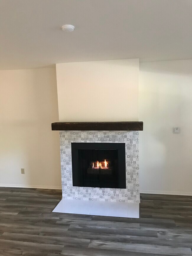 Gas Fireplace - 2120 Dufour Ave