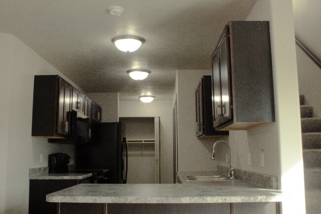 Foto del edificio - 293 Tiger Way Ct