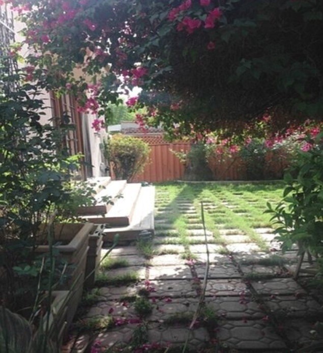 Side Yard - 609 S Highland Ave
