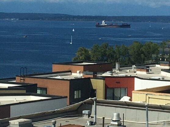 Panorama West Elliott Bay Outside Terrace View - 2801 1st Ave