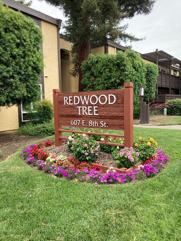 Redwood Tree Apartments Apartments in Davis, CA