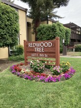 Redwood Tree Apartments