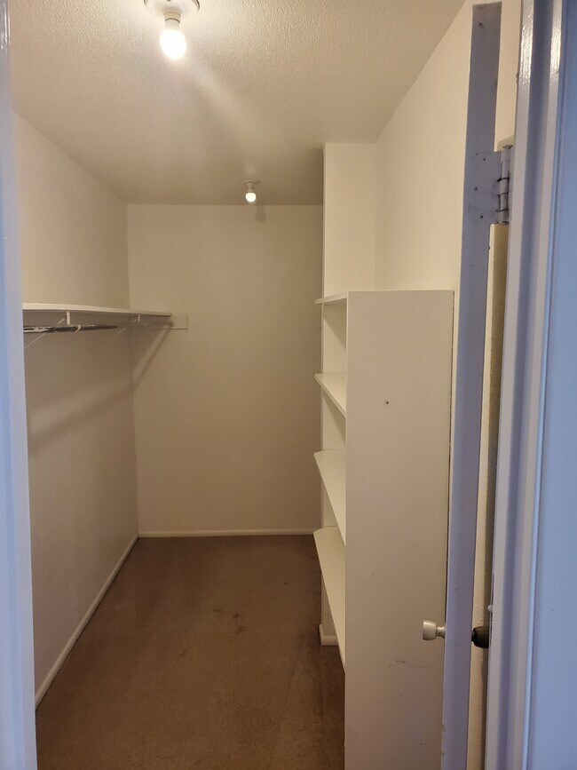 Foto del edificio - 159 Sprucewood Ln