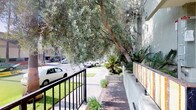 This single-story property is situated along a vibrant, tree-lined urban street that exudes a distinctly Southern California character. The exterior is defined by a well-kept landscape design featuring a raised planter bed along the building's facade, filled with a diverse mix of tropical and Mediterranean plantings, including sago palms, ornamental grasses, and drought-tolerant shrubs. A decorative tiled accent adds a touch of visual interest to the planter wall, complementing the light-toned stucco exterior of the building. A black metal railing lines the front walkway, providing a clean, defined boundary between the property and the sidewalk. Towering mature olive trees arch gracefully over the path, casting dappled shade and creating a lush, canopied approach to the entrance. The surrounding streetscape is lined with tall palm trees visible in the distance, reinforcing the warm, sun-drenched atmosphere of the neighborhood. The sidewalk is wide and well-maintained, contributing to the open, accessible feel of the exterior. Overall, the property presents a cohesive and inviting street presence, combining thoughtful landscaping with a classic urban residential aesthetic suited to its Southern California setting.