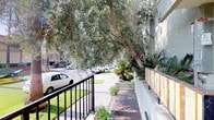 This single-story property is situated along a vibrant, tree-lined urban street that exudes a distinctly Southern California character. The exterior is defined by a well-kept landscape design featuring a raised planter bed along the building's facade, filled with a diverse mix of tropical and Mediterranean plantings, including sago palms, ornamental grasses, and drought-tolerant shrubs. A decorative tiled accent adds a touch of visual interest to the planter wall, complementing the light-toned stucco exterior of the building. A black metal railing lines the front walkway, providing a clean, defined boundary between the property and the sidewalk. Towering mature olive trees arch gracefully over the path, casting dappled shade and creating a lush, canopied approach to the entrance. The surrounding streetscape is lined with tall palm trees visible in the distance, reinforcing the warm, sun-drenched atmosphere of the neighborhood. The sidewalk is wide and well-maintained, contributing to the open, accessible feel of the exterior. Overall, the property presents a cohesive and inviting street presence, combining thoughtful landscaping with a classic urban residential aesthetic suited to its Southern California setting.