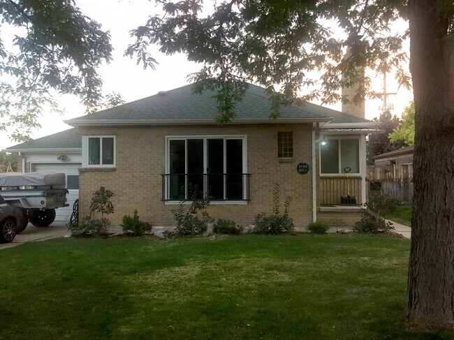 Maintained yard - 1340 Ivy St