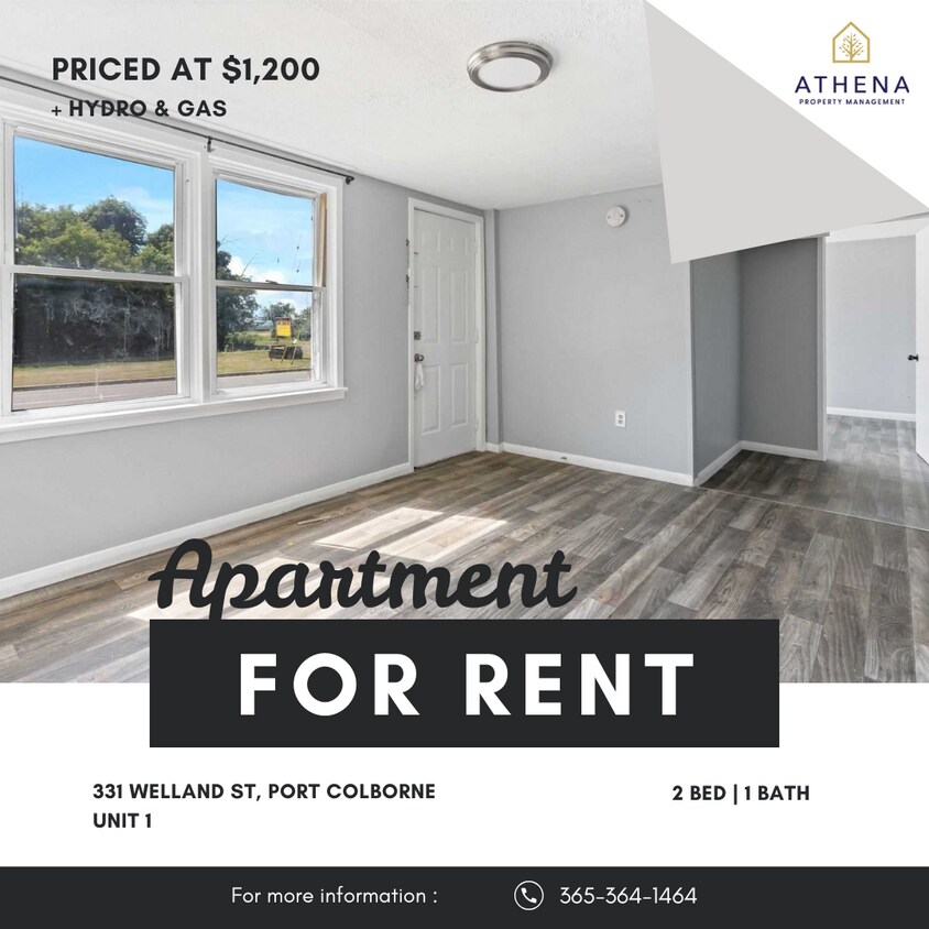 Photo principale - 331 Welland St