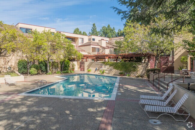 Piscina - Canyon Oaks