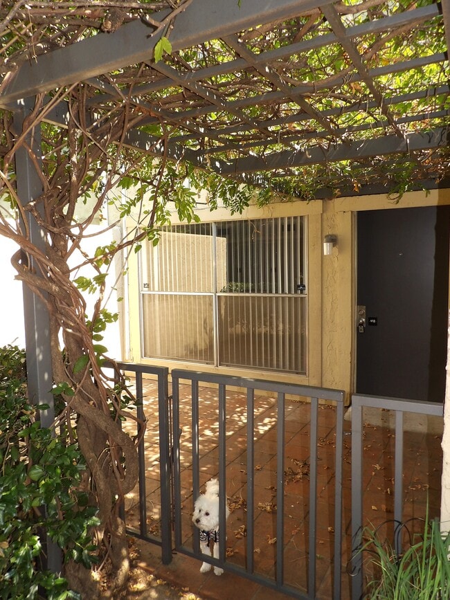 Building Photo - 4431 Travis St
