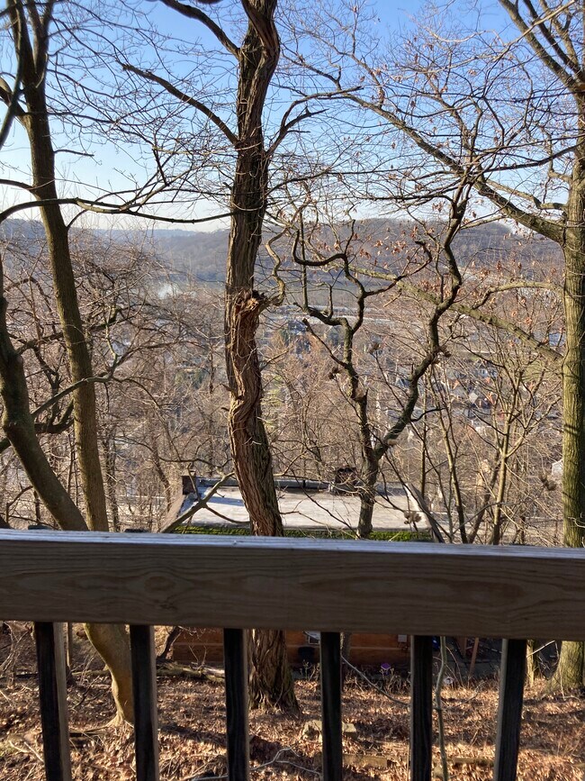 View from deck - 110 W 8th St