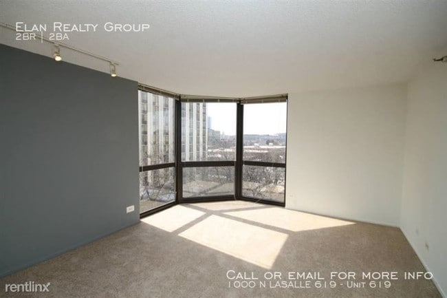Building Photo - 1000 N LaSalle (1000 N LASALLE 619)