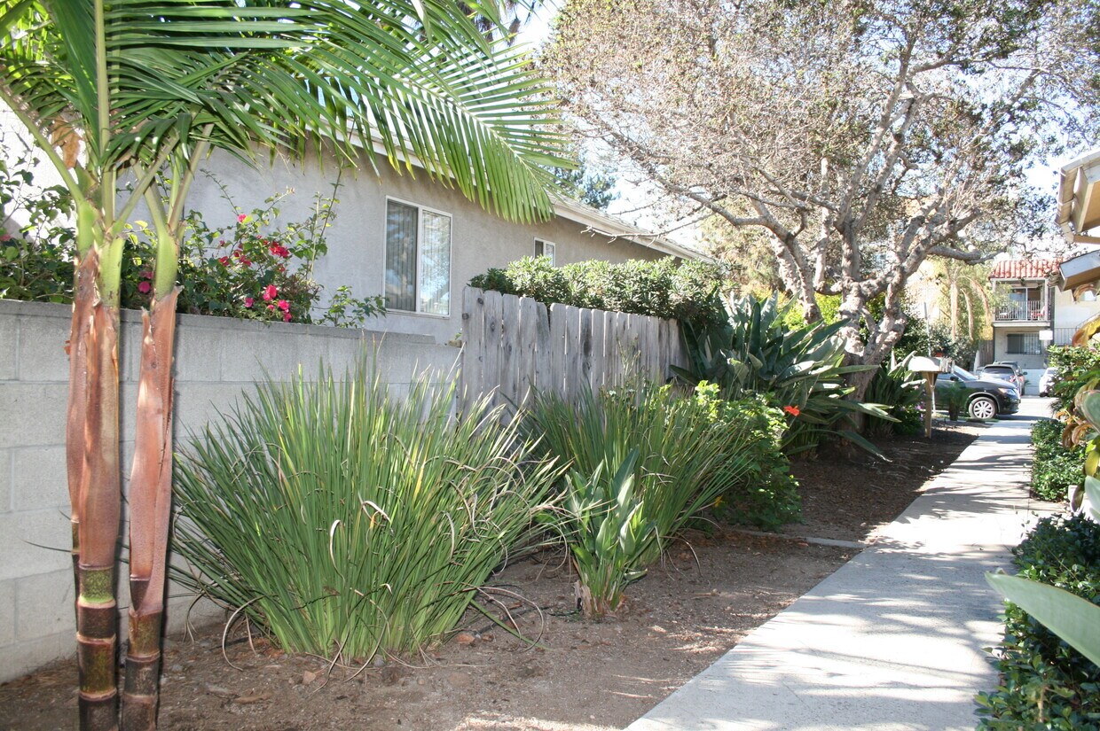 Walkway to Apartment - 3949 32nd St