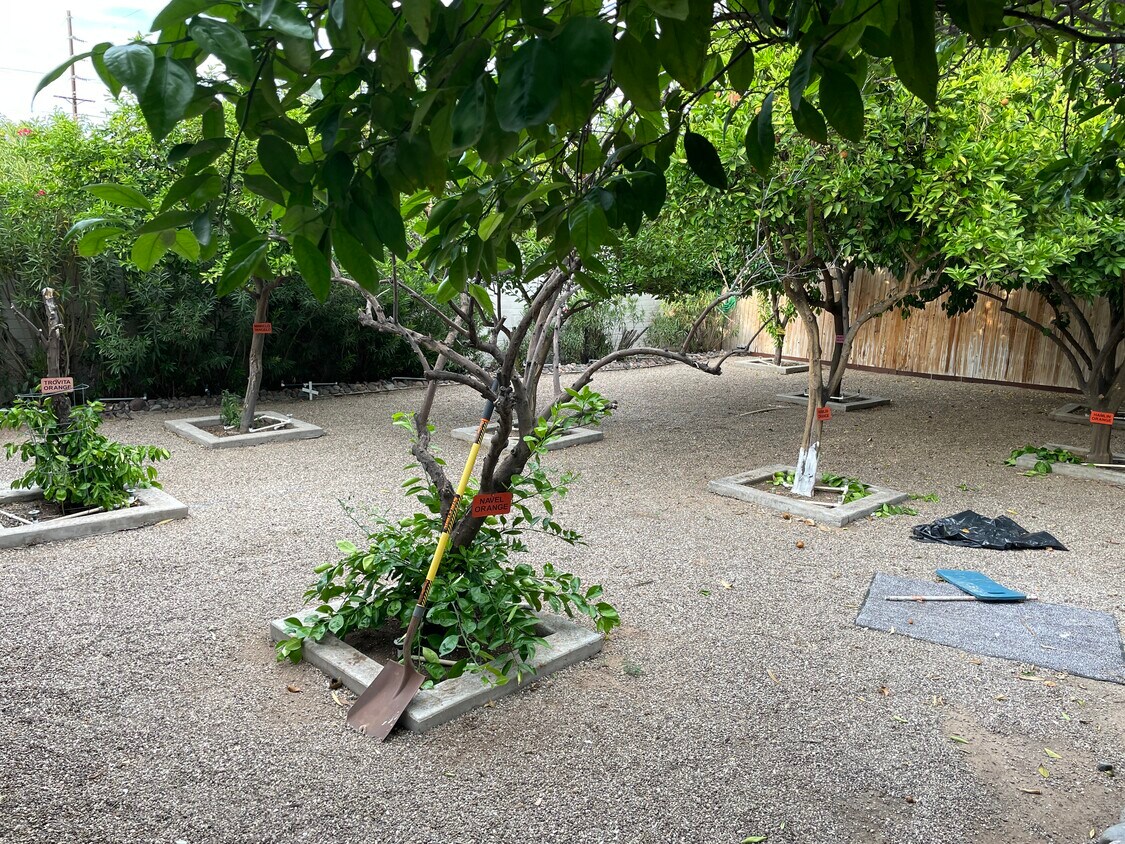 4677 E 6th St, Tucson, AZ 85711 House Rental in Tucson, AZ