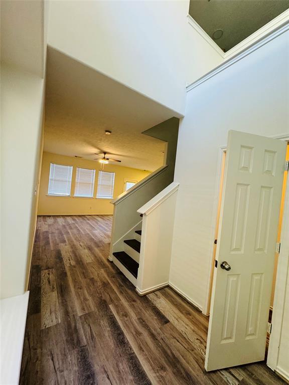 Building Photo - 263 Liriope Ct