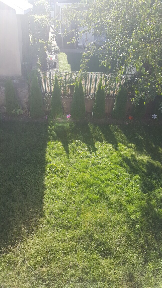 Backyard - 66 Washington Pl