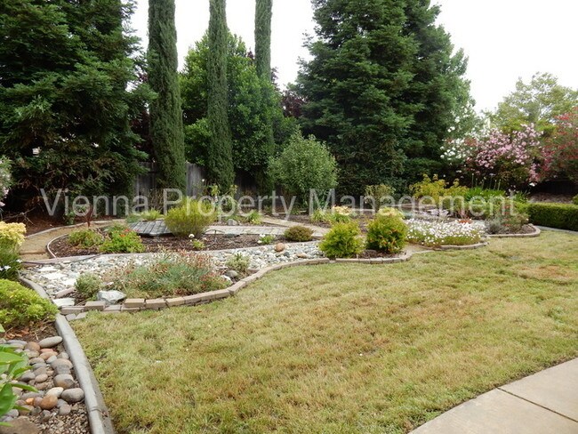 Building Photo - 2331 Shelter Cove Ct