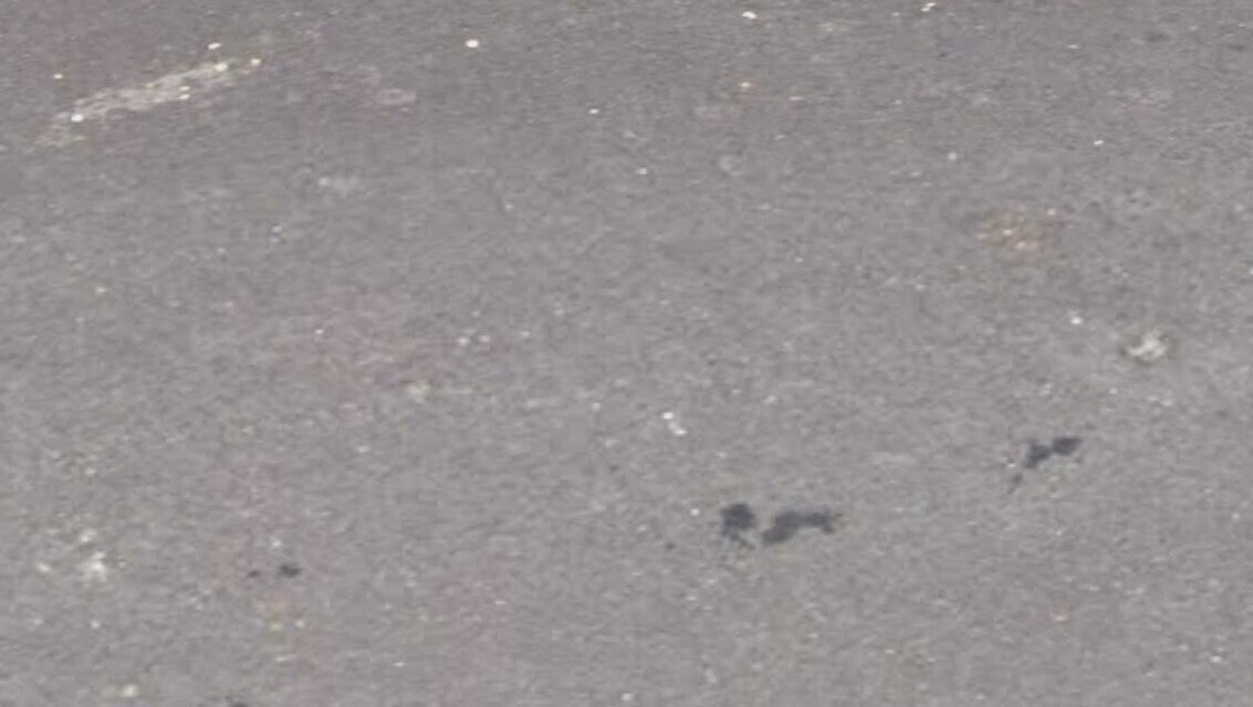 6352 Evangeline Ln, Alexandria, VA 22312 House Rental in Alexandria