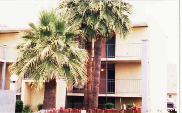 Foto del edificio - Desert Arbor I