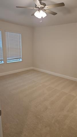 Building Photo - 4116 Limestone Blf Dr