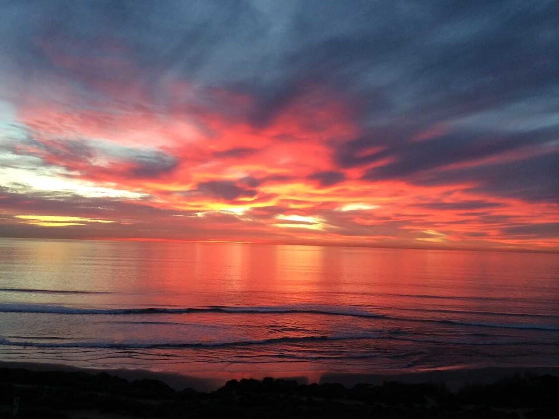 280 Dolphin Cove Ct, Del Mar, CA 92014 Condo for Rent in Del Mar, CA