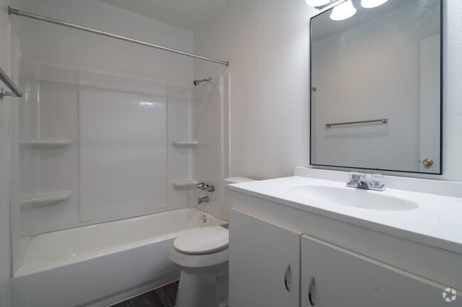 2 habitaciones, 2 baños - 920 pies cuadrados - Baño - Woods of Brookhollow