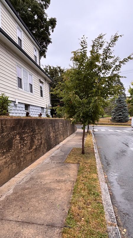 Building Photo - 584 River Ave