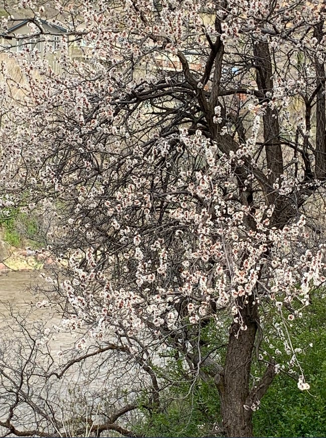 Building Photo - 2505 Cisar Ct