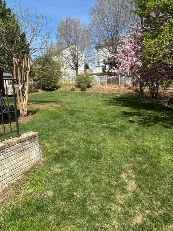 Foto del edificio - 9315 Brandon St