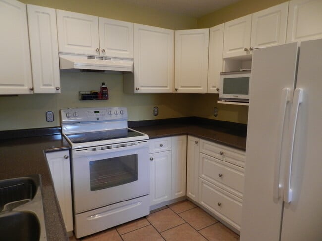 Chef's Delight Kitchen with Radiant Heat Cooktop Stove and Convection Oven, Side-by-Side Fridge / Fr - 710 Massie Dr