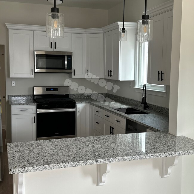 Kitchen featuring granite countertops and stainless steel applicances - 207 Saltonstall Ave