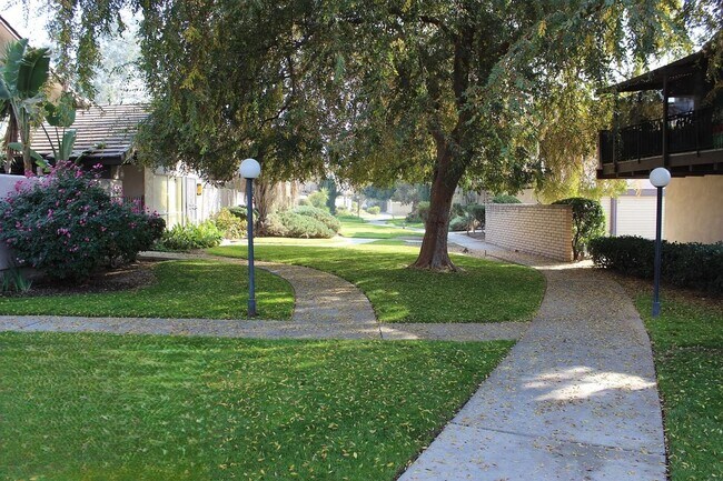 Building Photo - 3333 El Encanto Ct