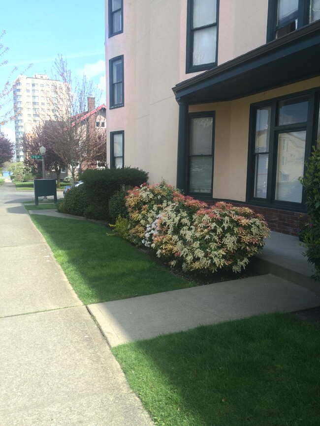 Professionally maintained grounds - 704 N 4th St