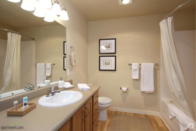 Baño - Affinity at Southridge 55+