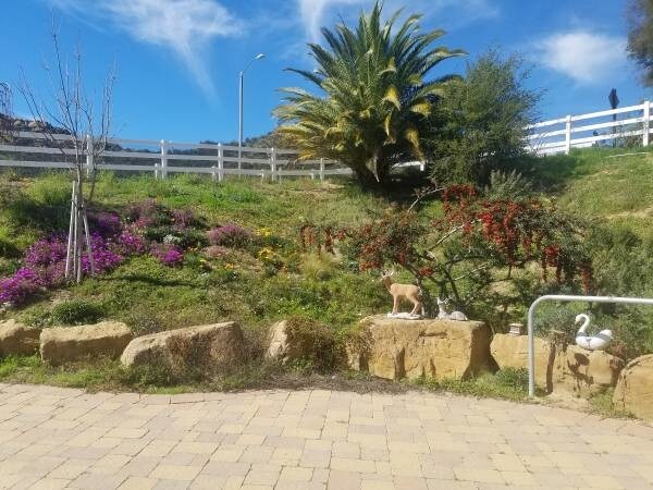 Foto del edificio - 44 Hackamore Ln