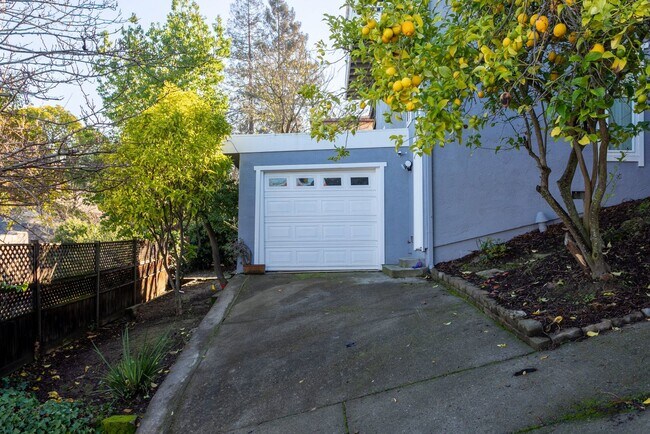 Building Photo - Beautiful Home In Martinez Hills