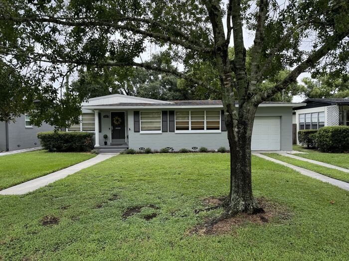 Large fenced back yard - Large fenced back yard