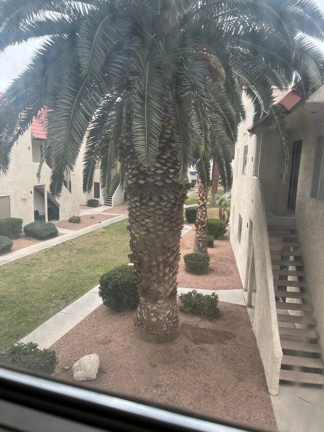 Primary Photo - 5078 Spencer St