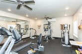 Located at 488 W Center St in Pleasant Grove, Utah, this dedicated fitness room offers a well-organized workout space across a single floor. The room features durable rubber flooring throughout, providing both safety and comfort during exercise. A large wall-mounted mirror along one side visually expands the space and allows users to monitor their form during workouts.

The cardio section is well-appointed, featuring multiple treadmills, an elliptical trainer, a stair stepper, and an upright stationary bike, catering to a variety of aerobic exercise preferences. A multi-station cable weight machine serves as the centerpiece for strength training, while a rack of color-coded dumbbells and additional free weights offer further resistance training options. A wall-mounted television provides entertainment during workouts.

Climate comfort is ensured by a ceiling fan and a wall-mounted mini-split air conditioning unit. Recessed lighting illuminates the space evenly, while windows fitted with blinds allow for natural light and ventilation. Wall-mounted décor, including a fishing rod and bag, adds a casual, personable character to the room. A doorway provides access to an adjacent area, making this fitness room a functional and self-contained amenity.