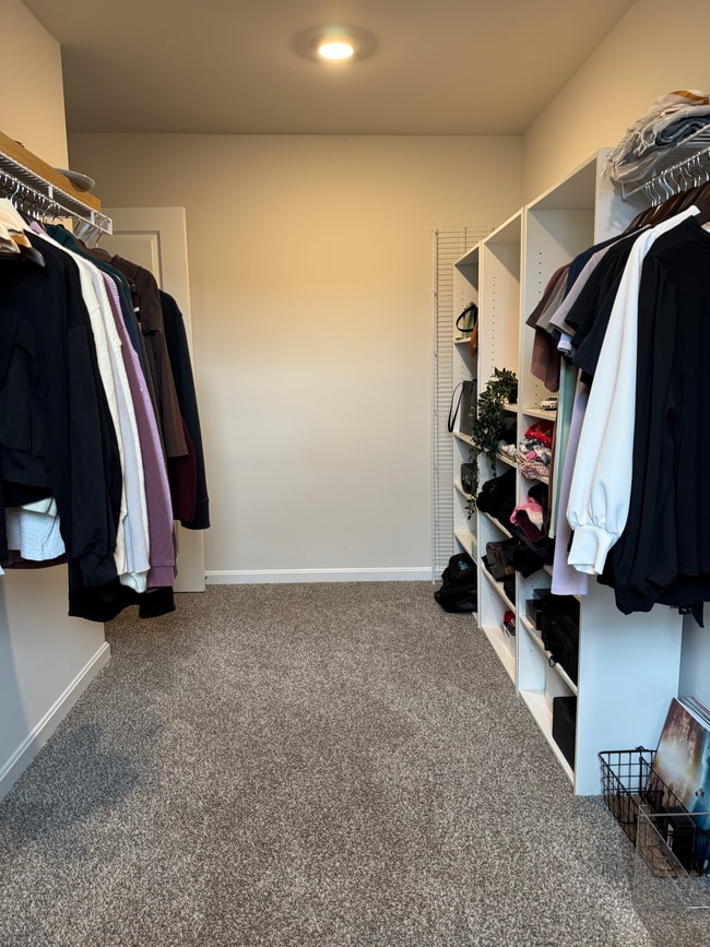 Primary bedroom closet with organizer - 377 Aylesbury Ln