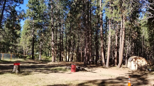Foto del edificio - VIDEOTOUR: Awesome Location! Beautiful Ponderosa Pines, Minutes To Bend! PETS WELCOME