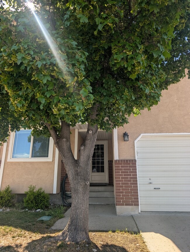 Building Photo - 5750 S Dynasty Oaks Cir