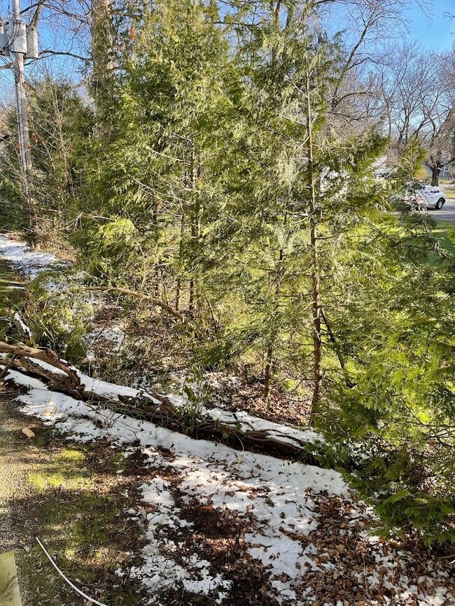 Foto del edificio - 15 S Park Row
