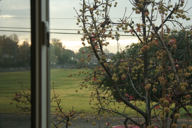 view from living room - 2600 Cortez Dr