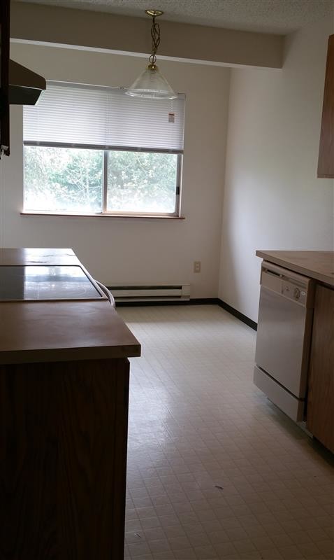 Foto del edificio - One big bed room one bath
