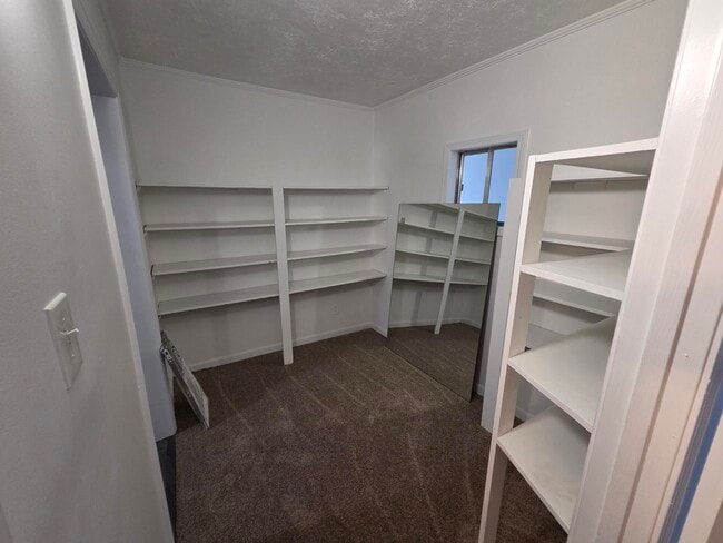 Building Photo - 2317 Union Grove Ct