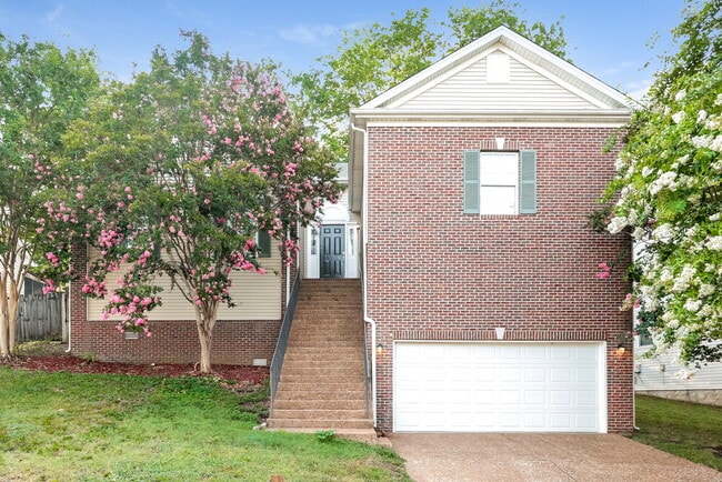 Building Photo - 1057 Blue Mountain Ln