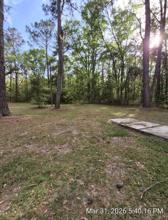 Foto del edificio - 187 Mamies Rd