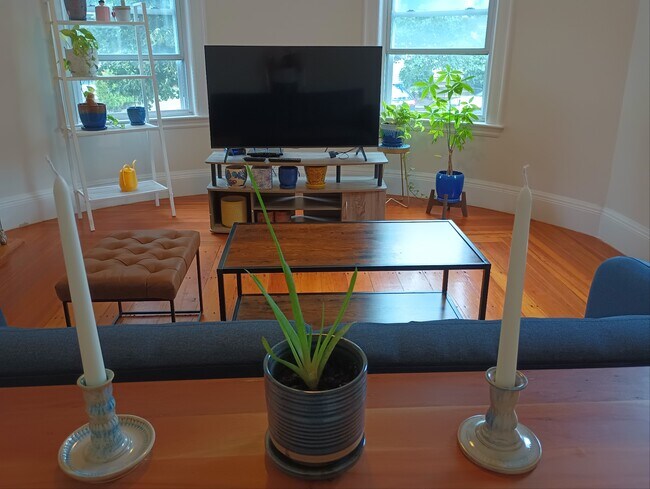 Living Room - 7 Bigelow St