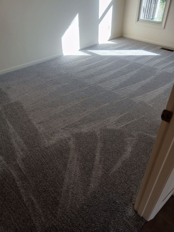 Building Photo - 913 S Limestone St